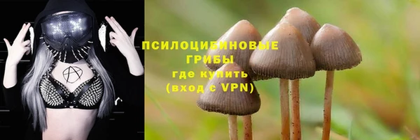mix Новозыбков