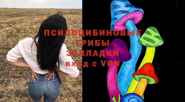 гидропоника Новодвинск