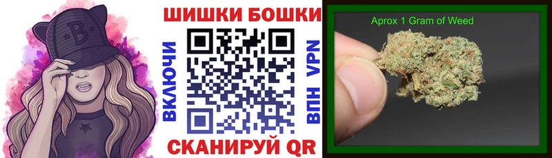 Бошки марихуана THC 21%  Купить закладки  Карачев 